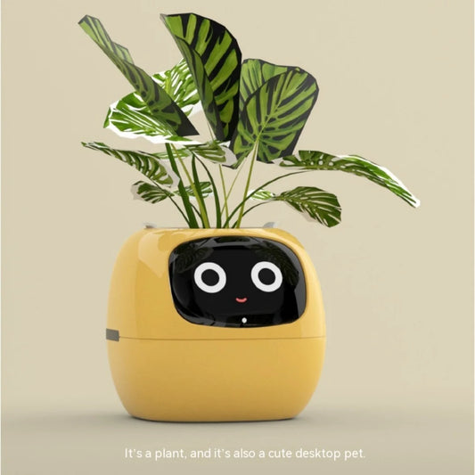 Smart Planter - Everyonesbroke.com