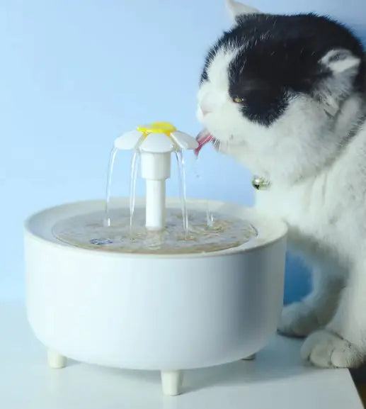 Pets Water Fountain - Everyonesbroke.com